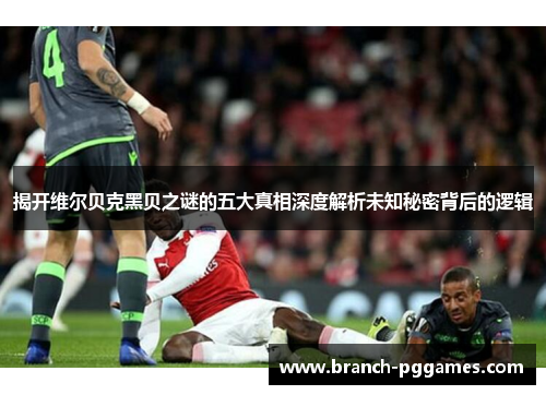 揭开维尔贝克黑贝之谜的五大真相深度解析未知秘密背后的逻辑